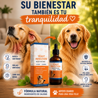 Lusomia. Alivio Natural Para Piel, Oídos y Picores En Perros